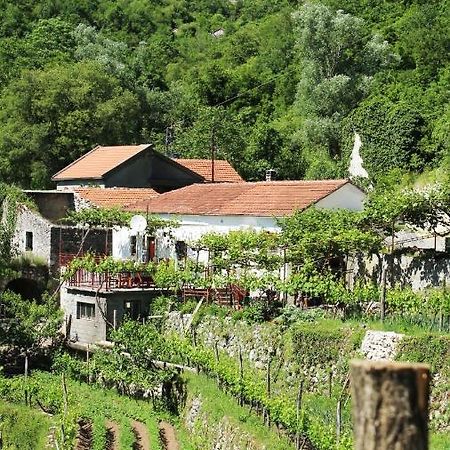 Country House Dajkovic Dupilo Bagian luar foto