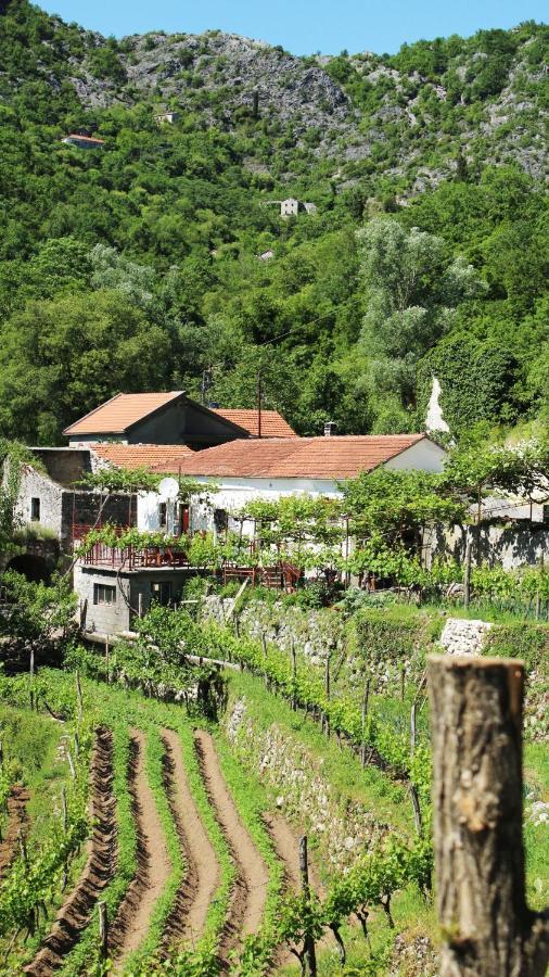 Country House Dajkovic Dupilo Bagian luar foto